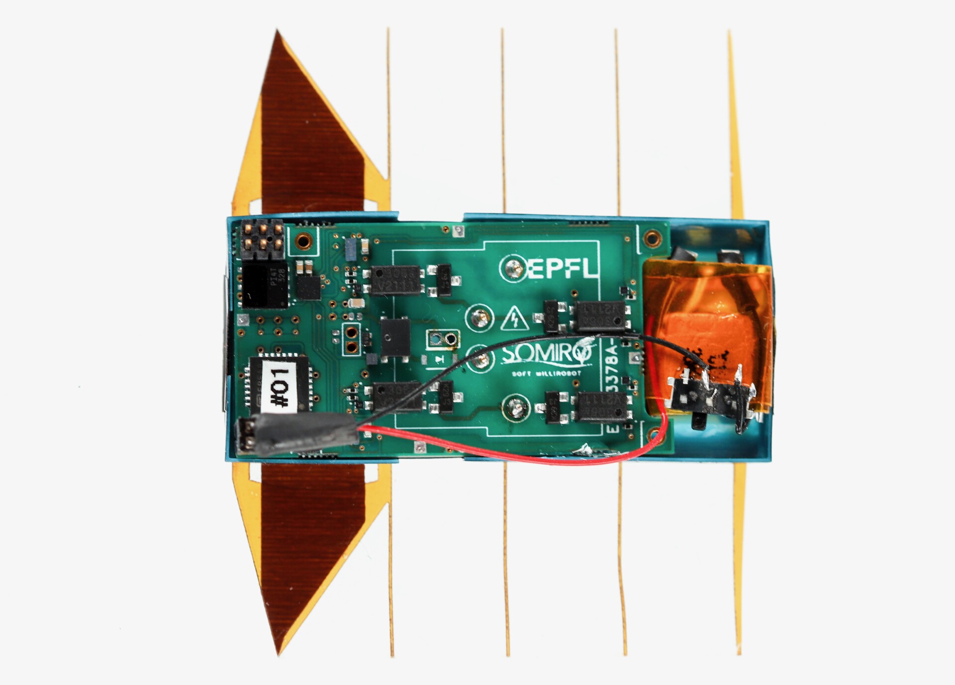 Flatworm-Inspired Aquatic Robot Propels Itself with a Wiggling Motion ?url=http%3A%2F%2Fnewatlas Brightspot.s3.amazonaws.com%2F95%2F52%2Ffa6c03fb4c8b9afe3922343d7dd4%2Fpress 4 C Epfl Lmts
