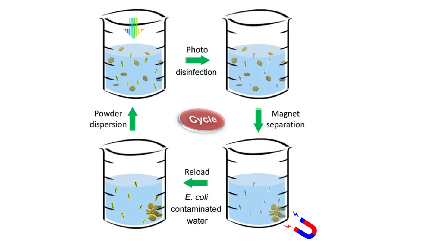 A diagram of the purification process