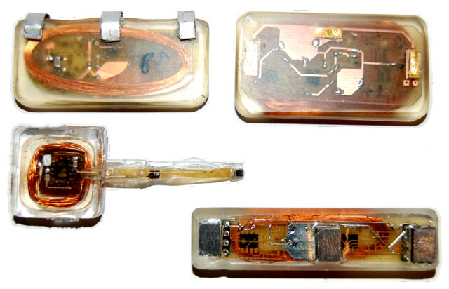 Implantable electrocardiogram (EKG) devices that constantly monitor and provide feedback on our health could be the norm within the next 10 years