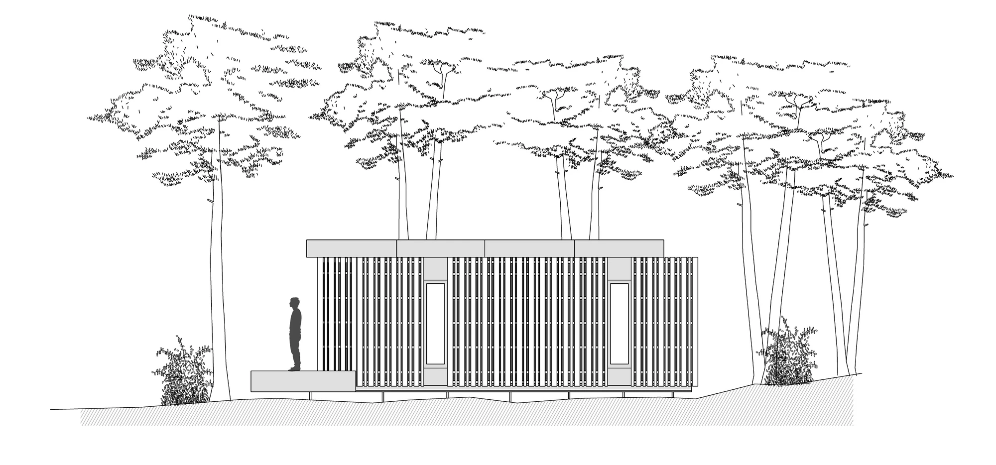 Architectural plan (Image: Multipod Studio)