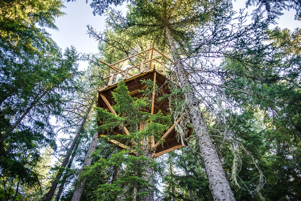 Schlussler's treehouse is 28 feet (8.5 meters) above the ground (Photo: Ethan Schlussler)