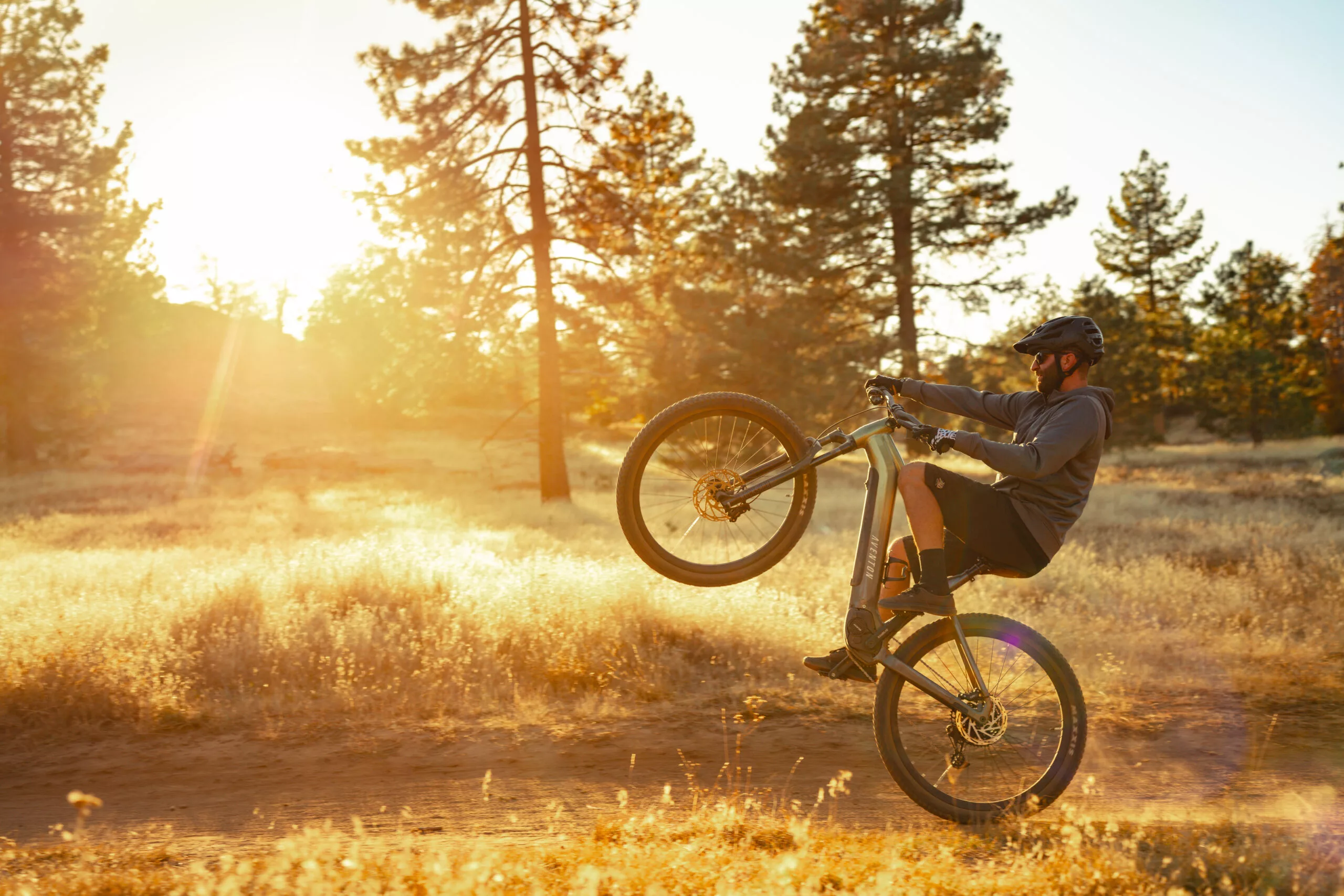 The A100 motor produces up to 100 Nm of torque "ensuring steady, natural acceleration and smooth climbing"