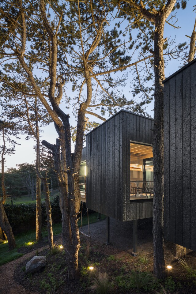 Treehouse is raised above the ground on 26 steel stilts