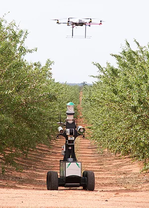 Robots working on an almond farm in Australia