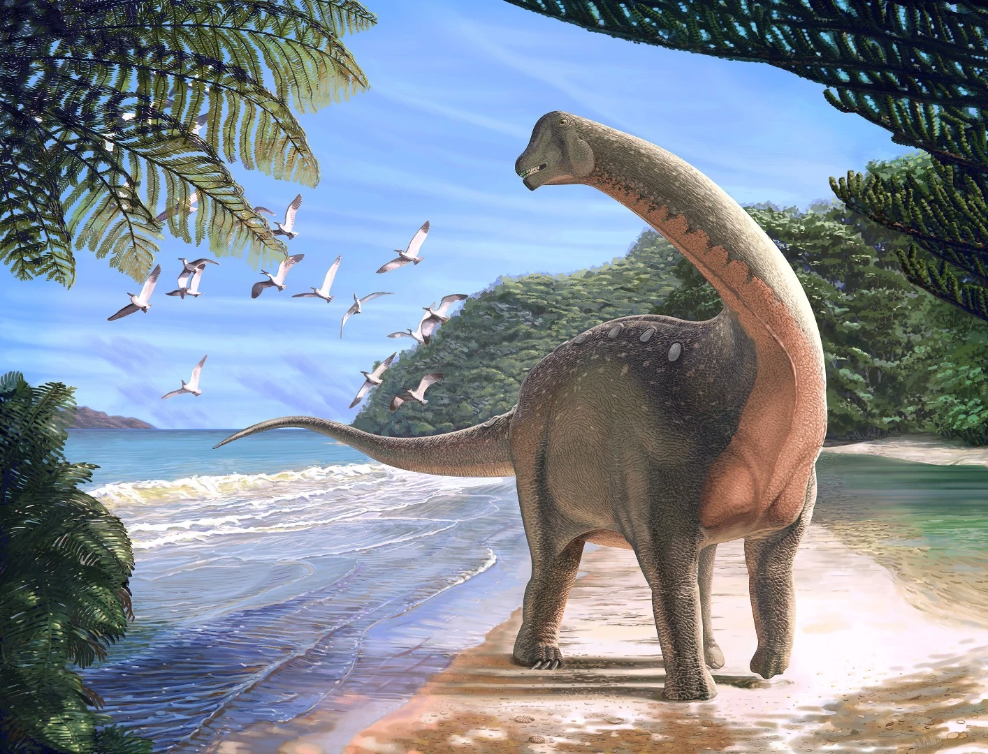 Mansourasaurus shahinae was a school-bus-sized sauropod that plodded around Africa about 80 million years ago