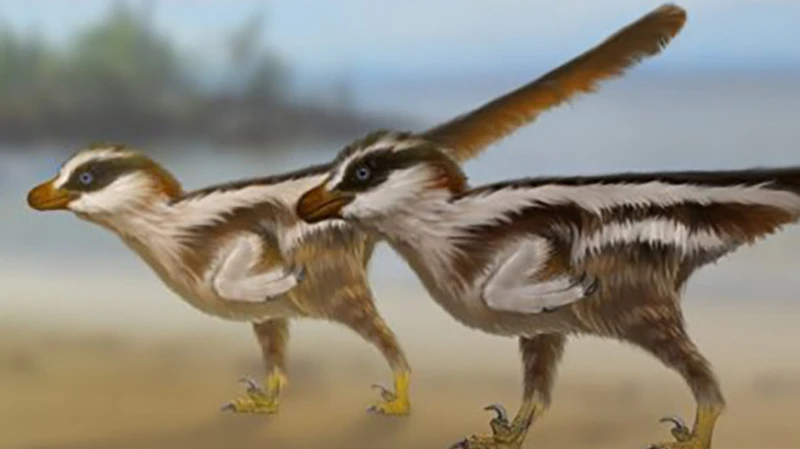 The animal that left the tracks would have been the size of a sparrow