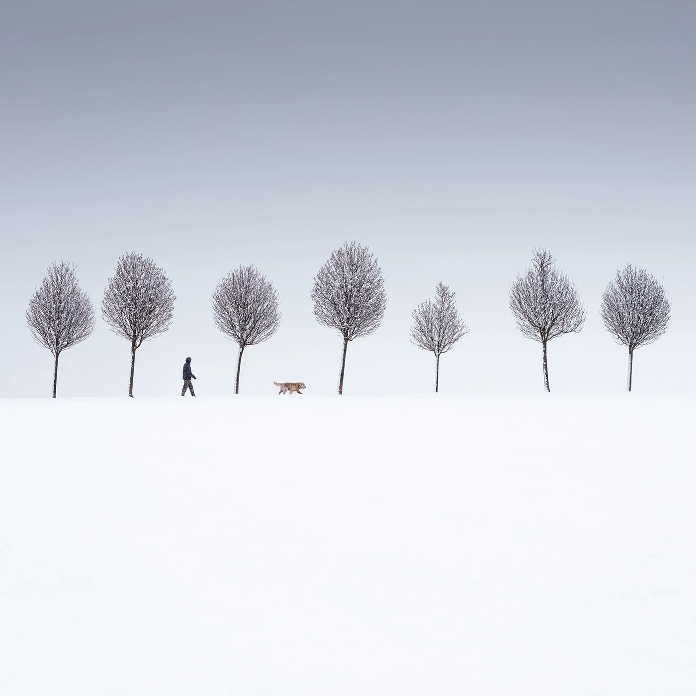 "Art of Winter (2)," Landscape 1st place winner, 2025 Minimalist Photography Awards