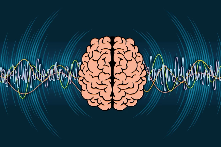 Gamma rhythms are key to how we process information in our brain