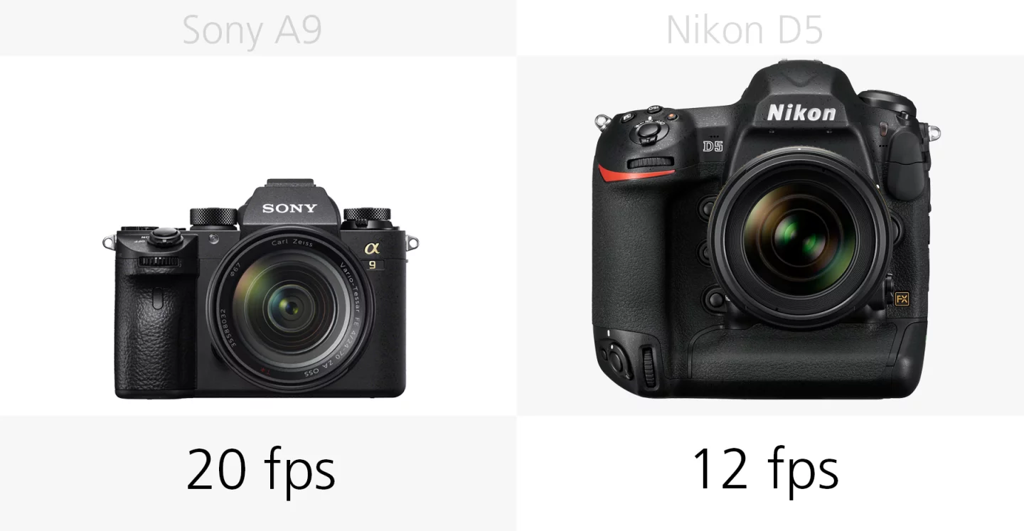 The continuous shooting speeds of the Sony A9 and Nikon D5 compared