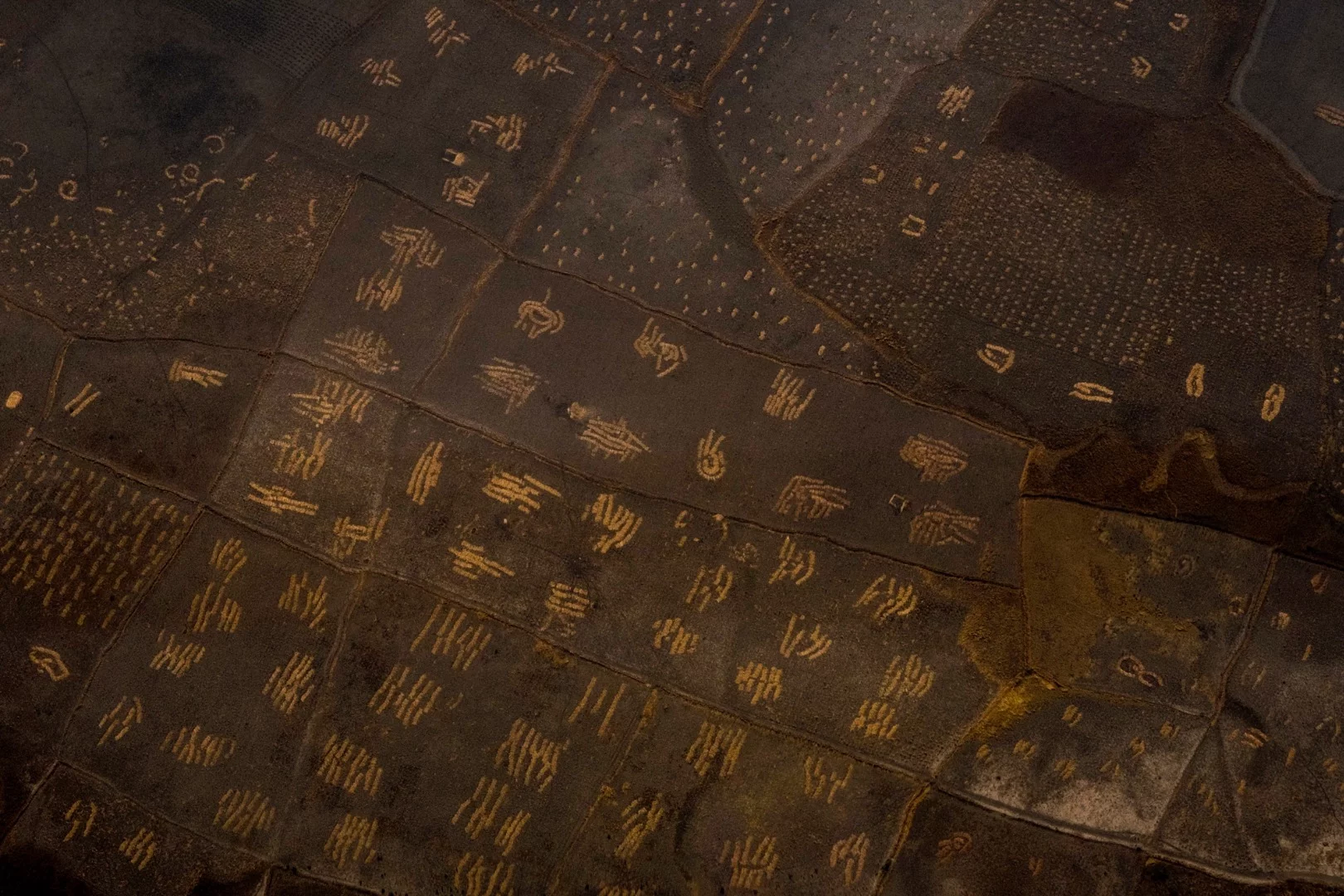 Farmland and savanna in the Lake Chad area. Boko Haram has chased off all the farmers, and the militants themselves have fallen victim to food shortages