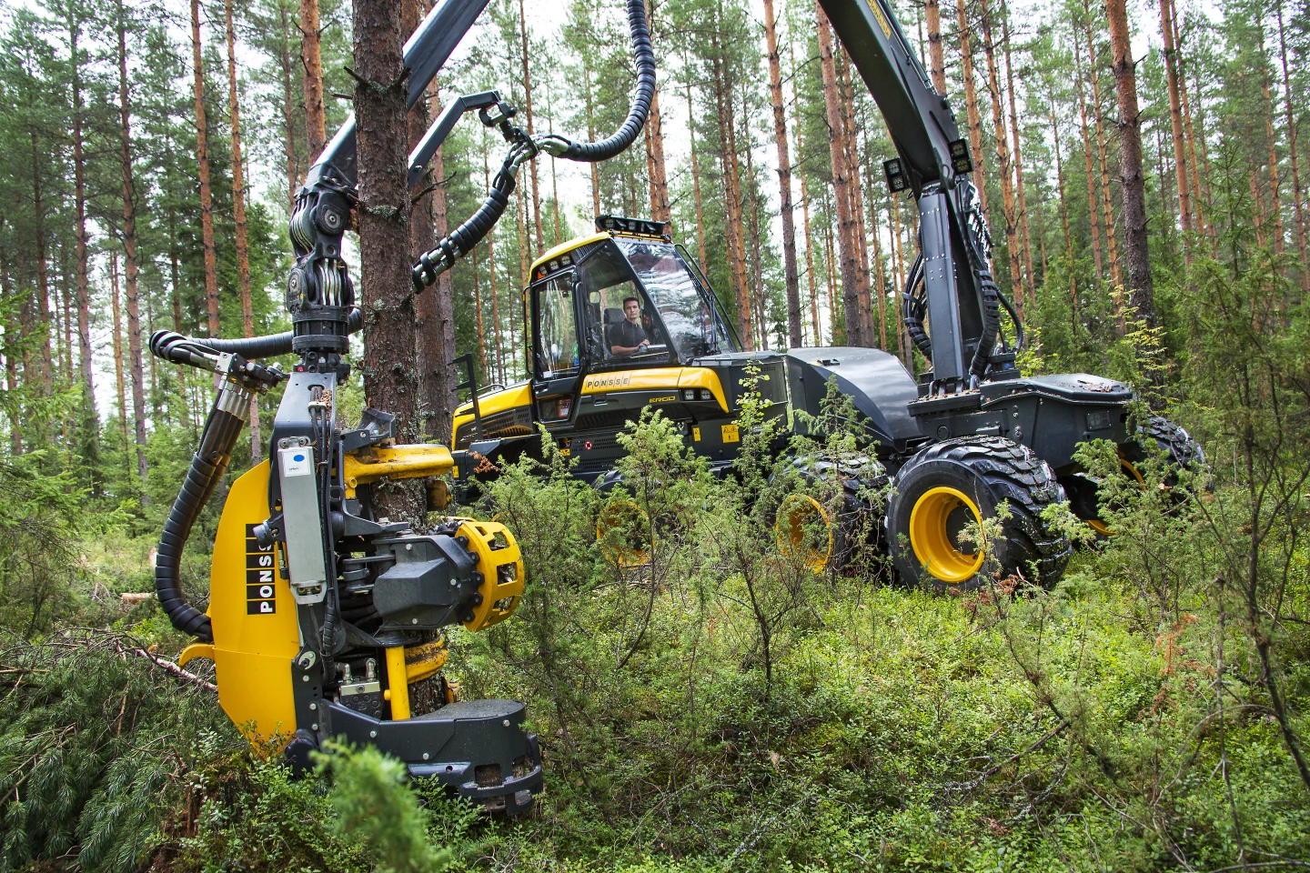 Ponsse Ergo 8-wheeler: ruthlessly efficient logging machine