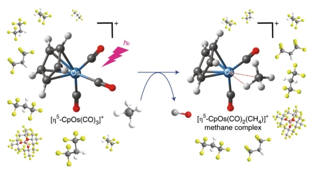 A new osmium-based complex has been found to bind methane extremely effectively, with a half-life around 13 hours as opposed to the microseconds previously possible