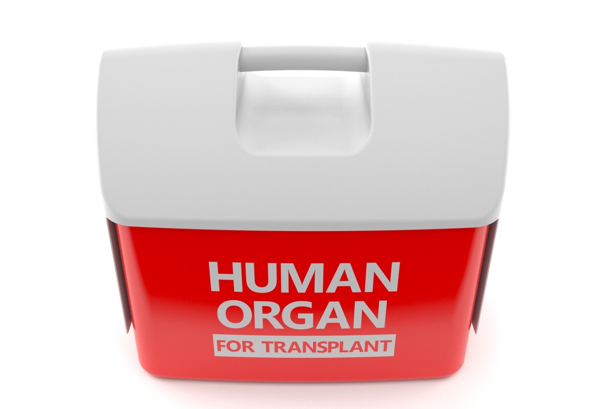 Blocking a certain molecule could help prevent transplanted organs from being rejected