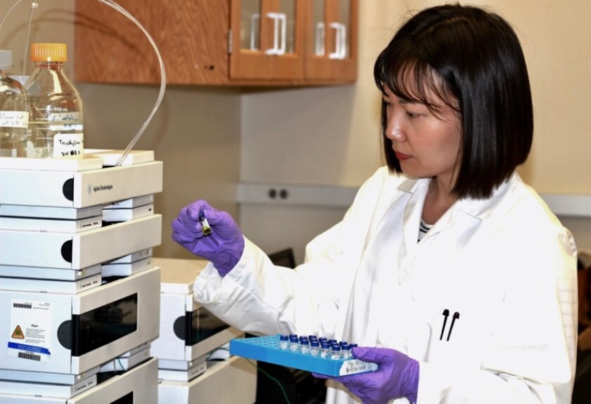 Xuelian Bai, PhD, works with an algae sample