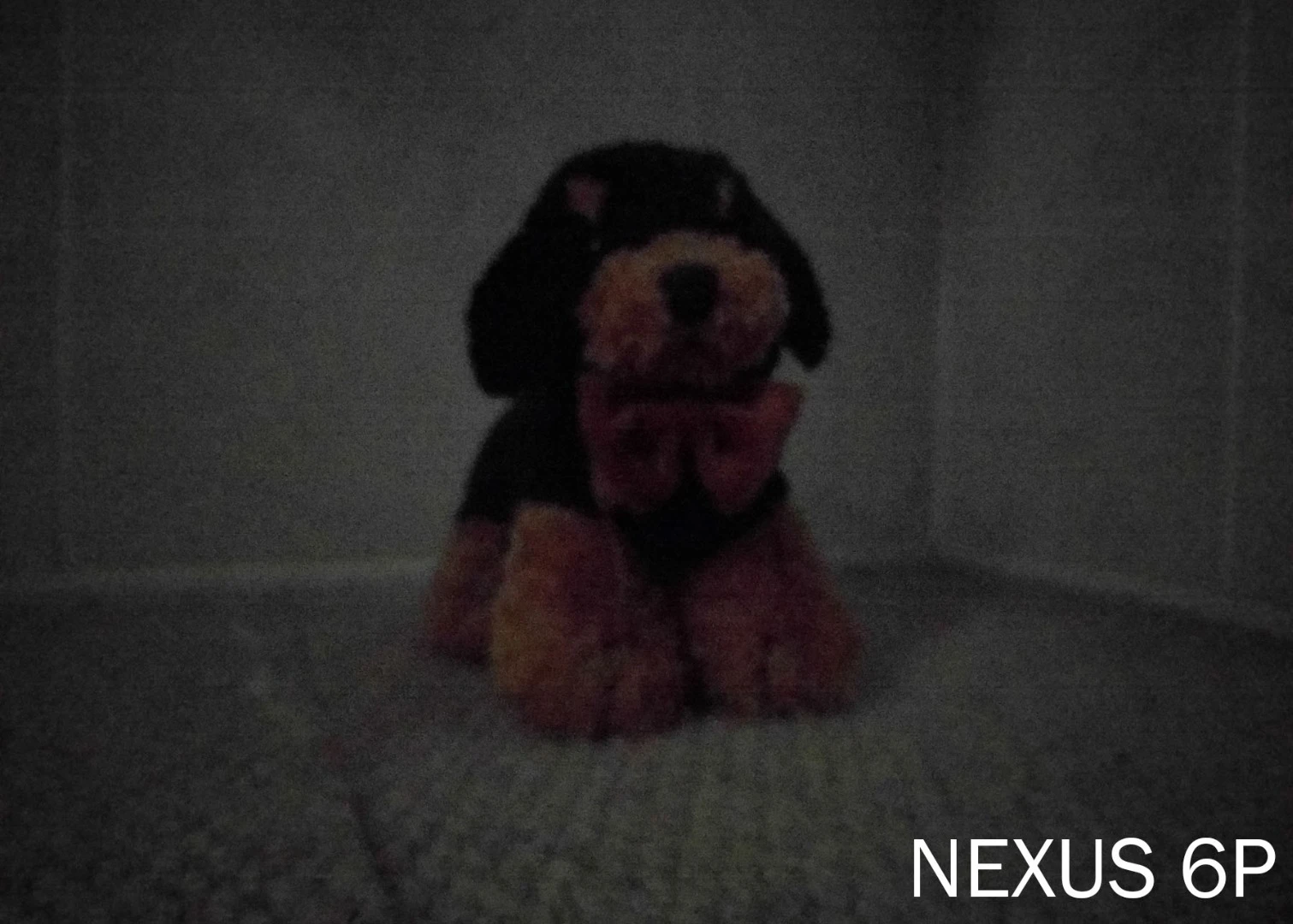 The Nexus 6P found the dimly lit dog but struggled with color and detail