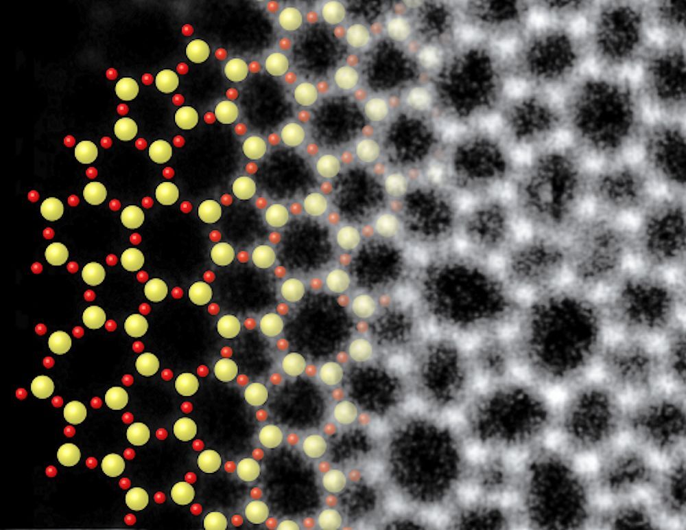 A cartoon model of a two-dimensional silica glass on the left is compared with an atomic resolution electron micrograph of the actual glass on the right (Photo: Cornell University)