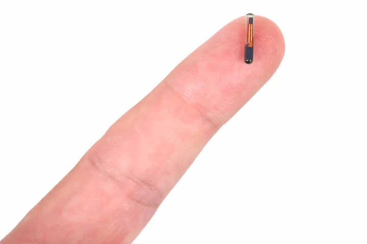 Three Square Market (32M) is offering to implant its employees with RFID chip like those used to microchip animals (pictured)