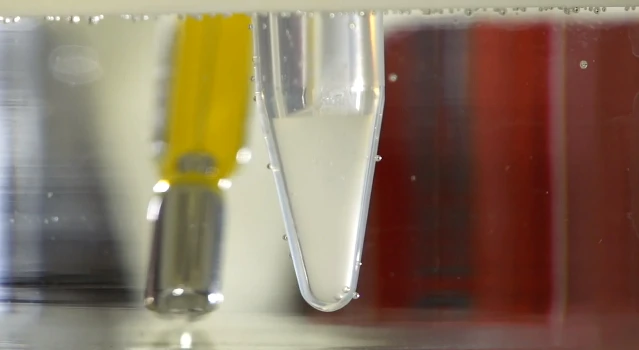 A vial of the clear hydrogel turns to a white semi-solid as it's heated to body temperature