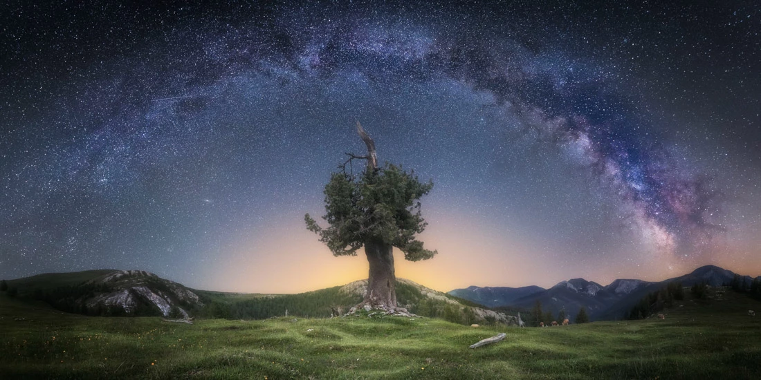 Highlight from the top 50 in Amateur Landscape / Nature