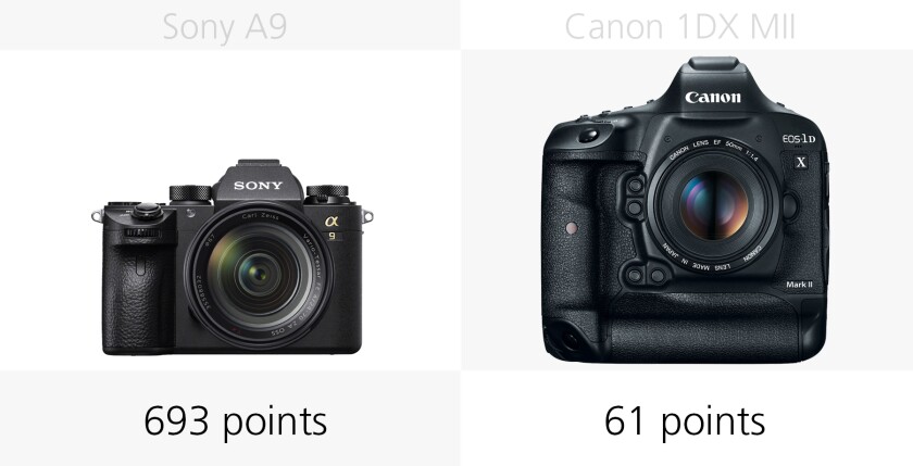 Comparing the autofocus systems of the Sony A9 and Canon 1DX Mark II