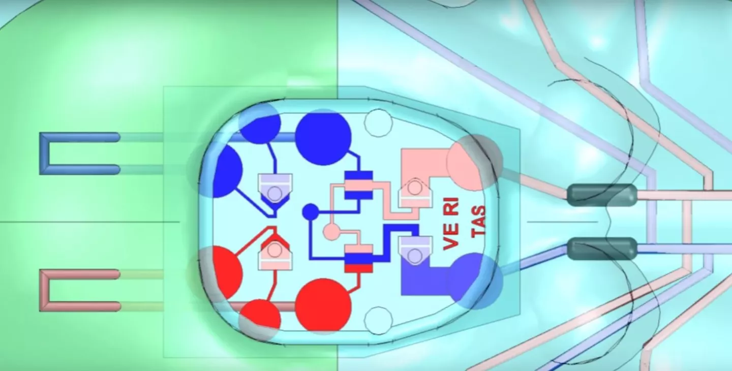 Octobot's microfluidic circuit
