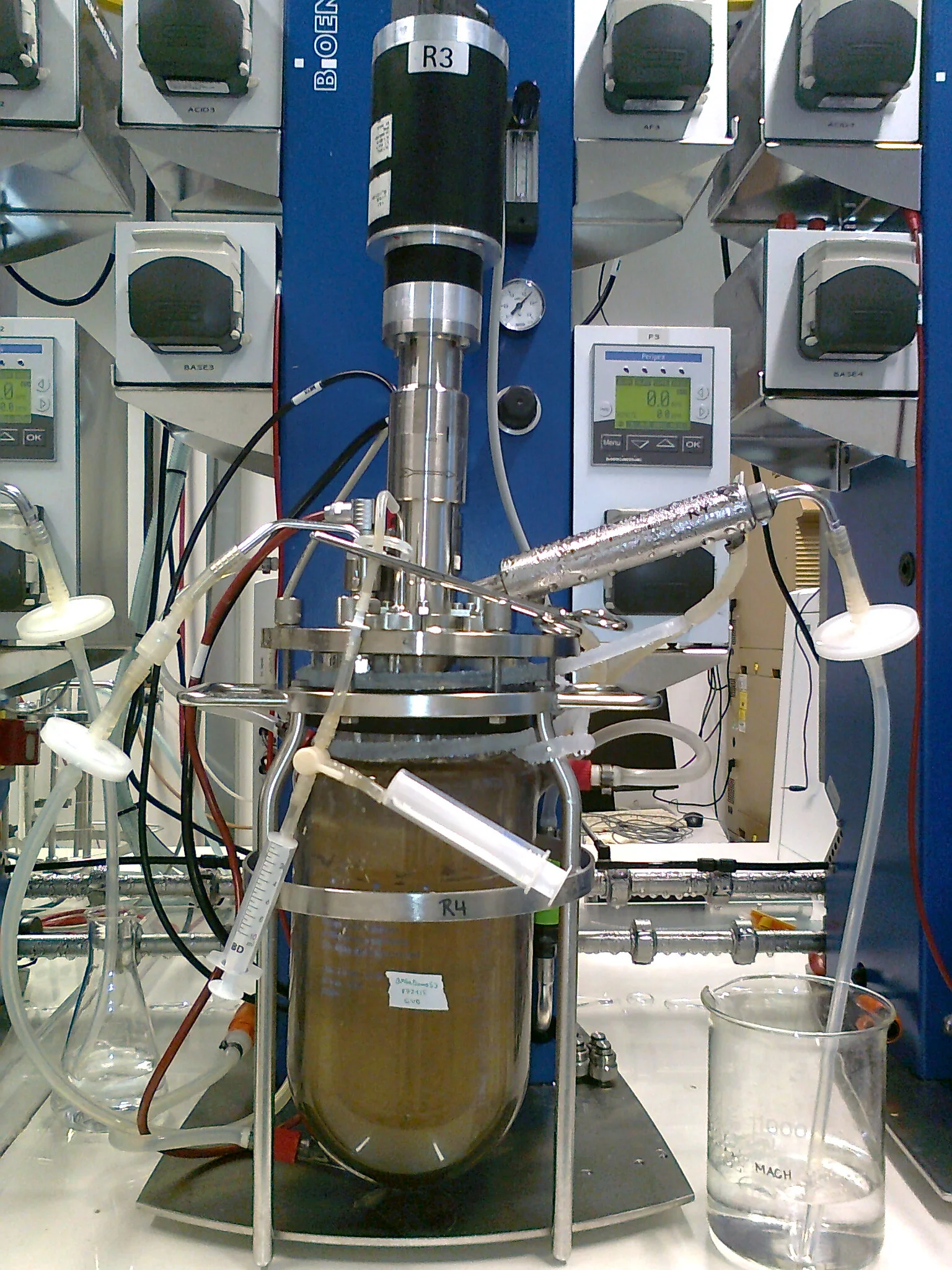One of the bioreactors being used to cultivate the bioengineered Trichoderma fungus