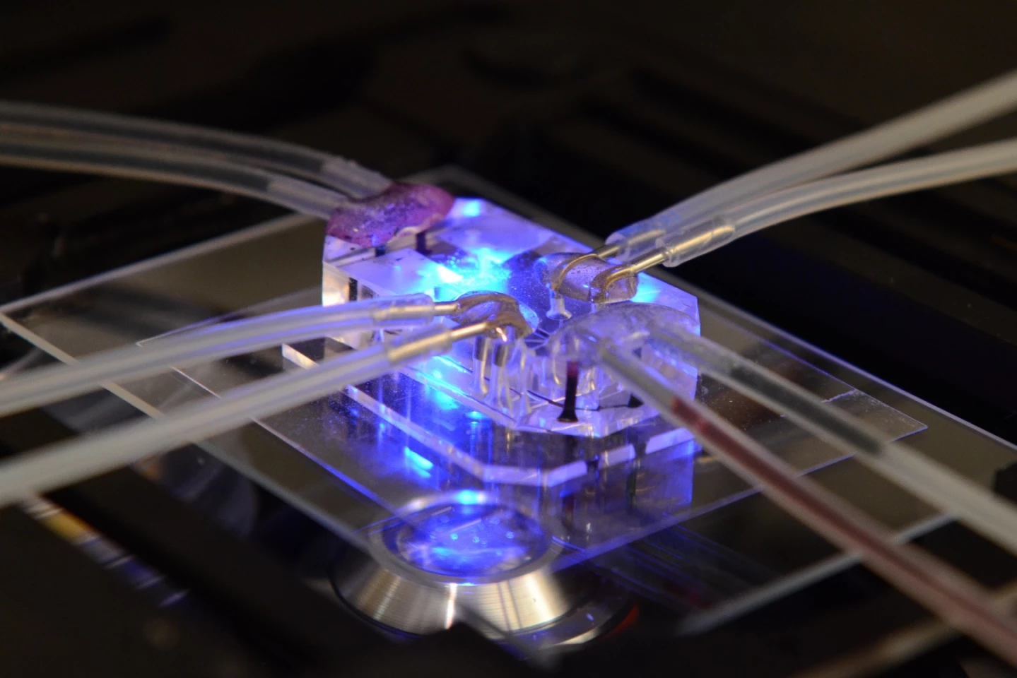 Human Organs-on-Chips is the competition's first winner from the field of medicine in its eight-year history