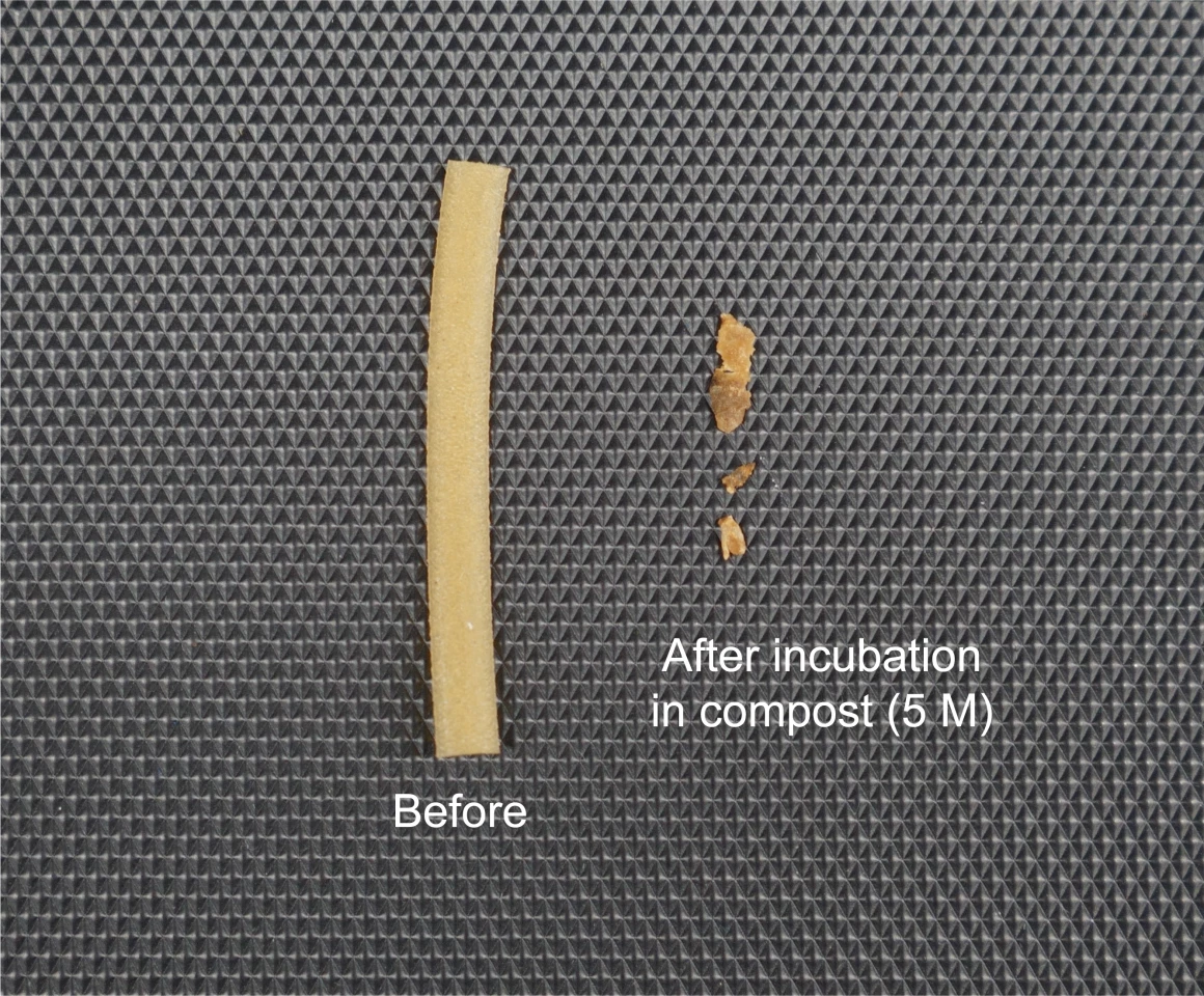 In lab tests, the plastic broke down by 90% after five months buried in compost