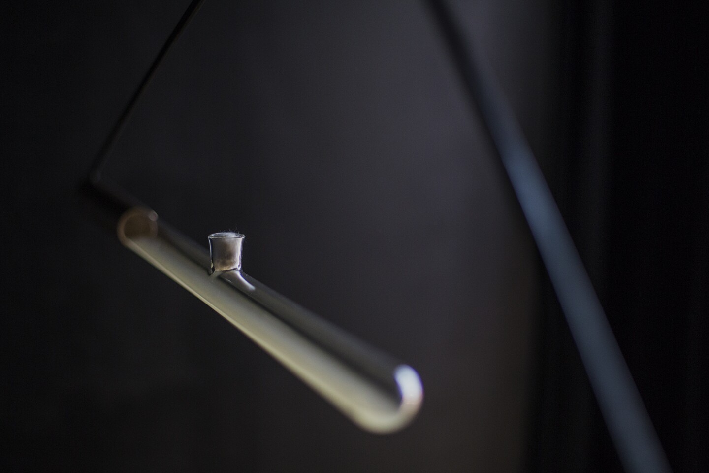 When Ambio is disturbed, the bacteria comes into contact with oxygen in the tube causing a chemical reaction that results in the bioluminescence