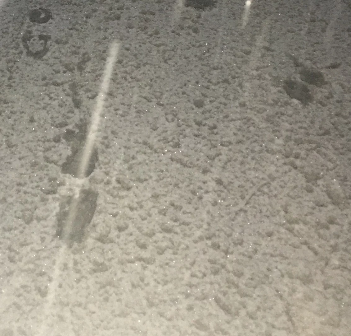 Gizmag tested the ICETrekker Diamond Grip shoe chains in a number of testing conditions, including frozen slush with fresh snow