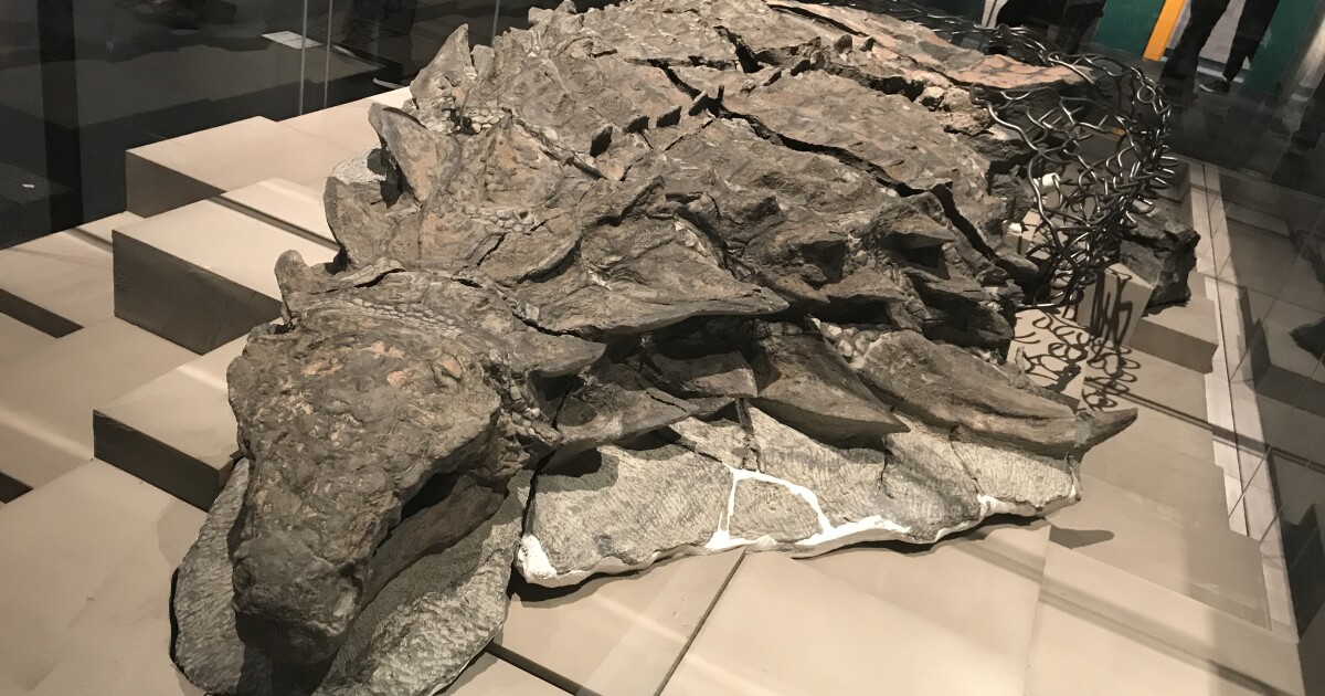 5 major archaeological finds from the last decade