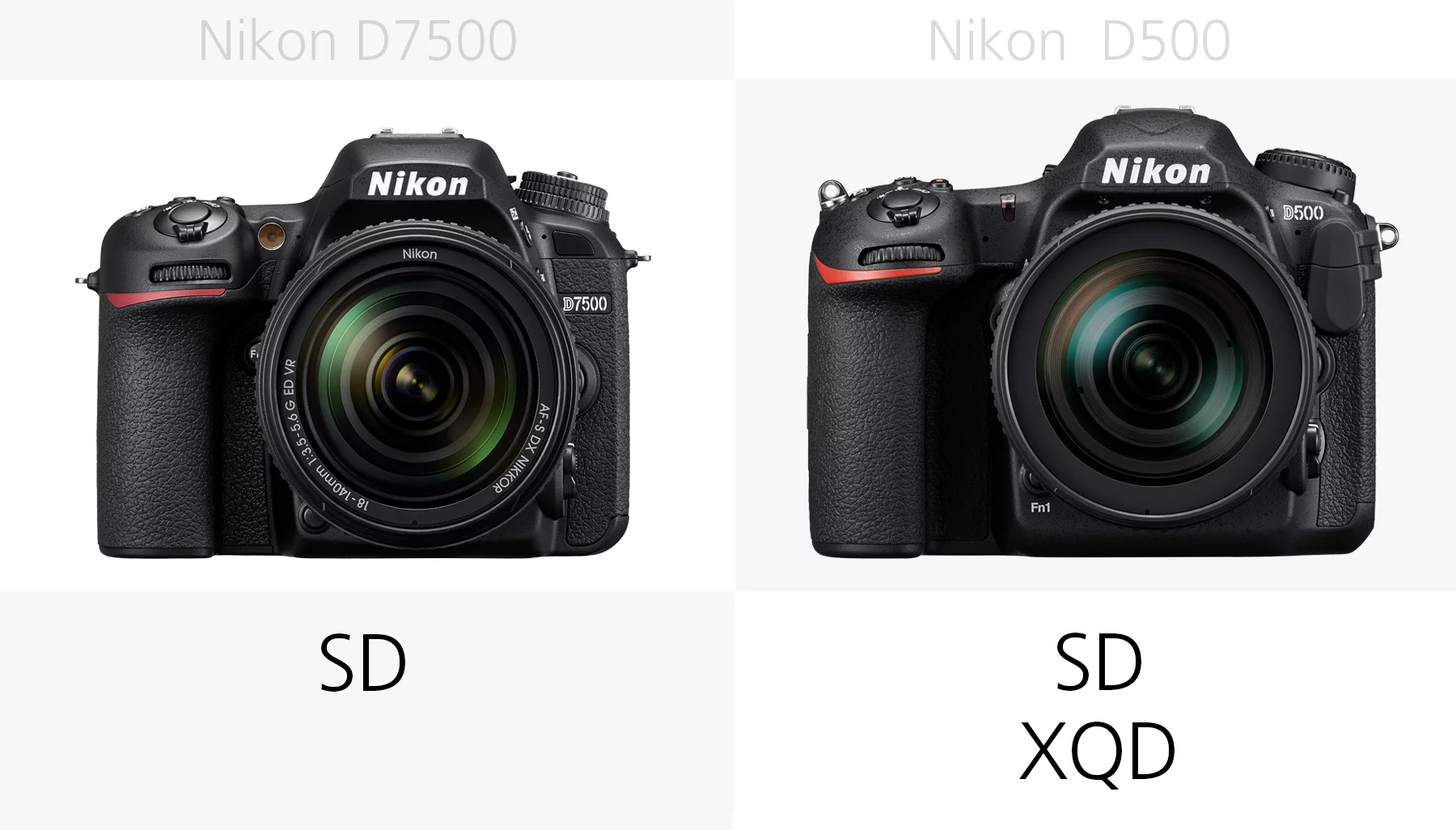 The storage media of the Nikon D7500 and Nikon D500 compared