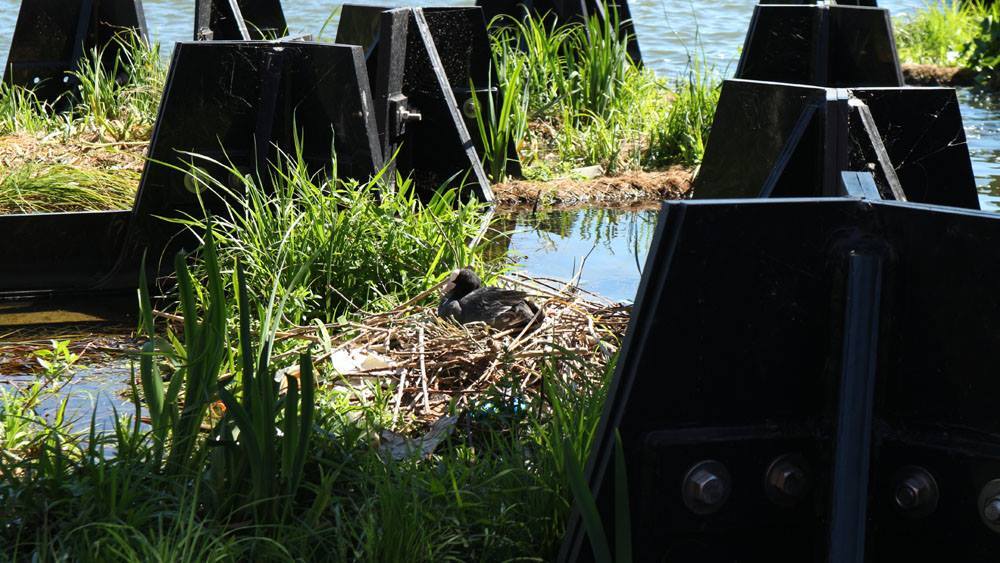 The recycled plastic blocks that make up the Recycled Park will serve as a habitat for micro and macro fauna above and below the waterline