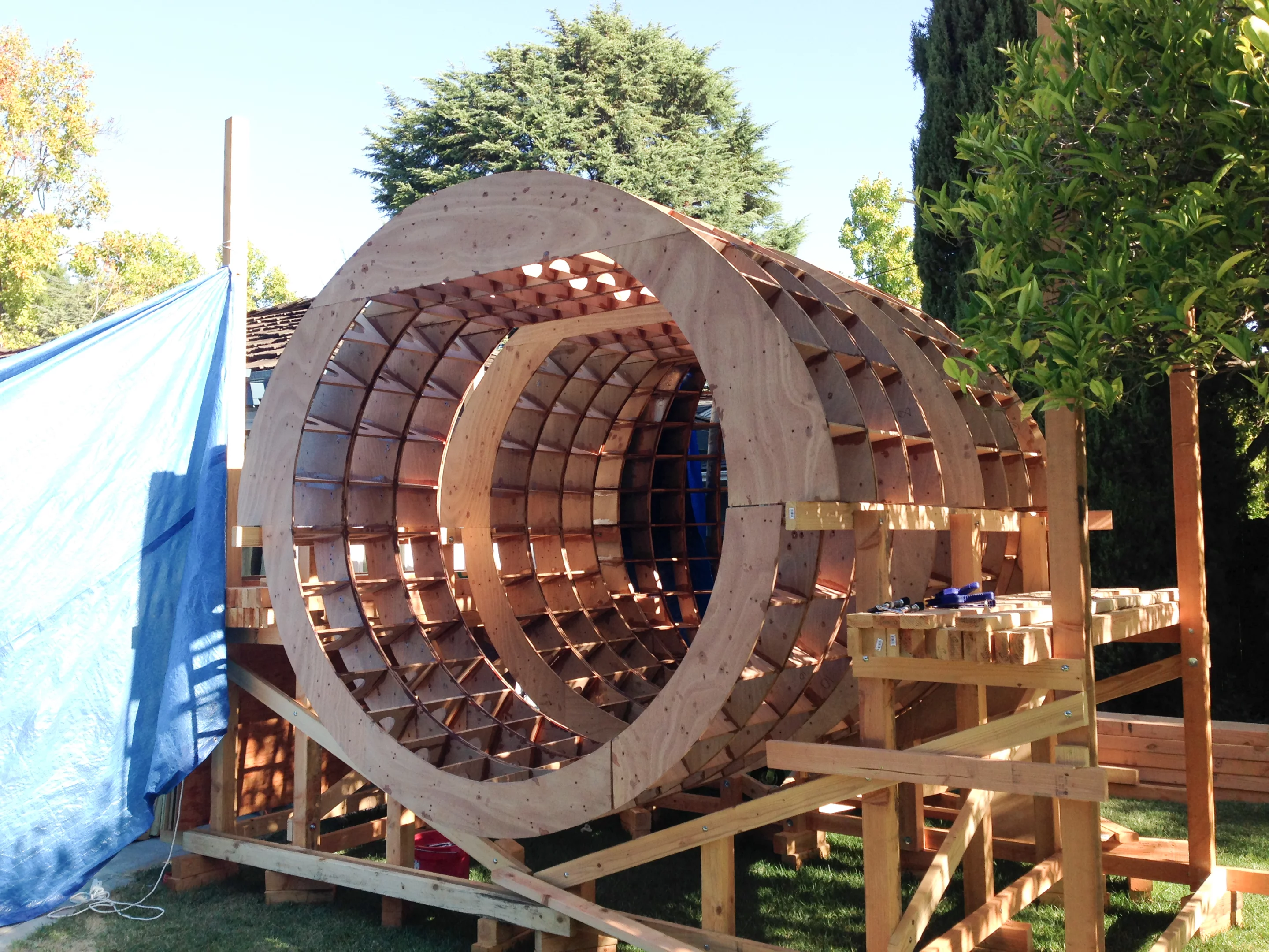 Robinson expects to complete his work later this year (Photo: Chris Robinson)