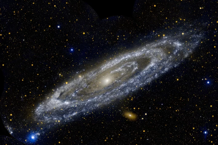 If the human race is typical, then we may be alone in the Universe