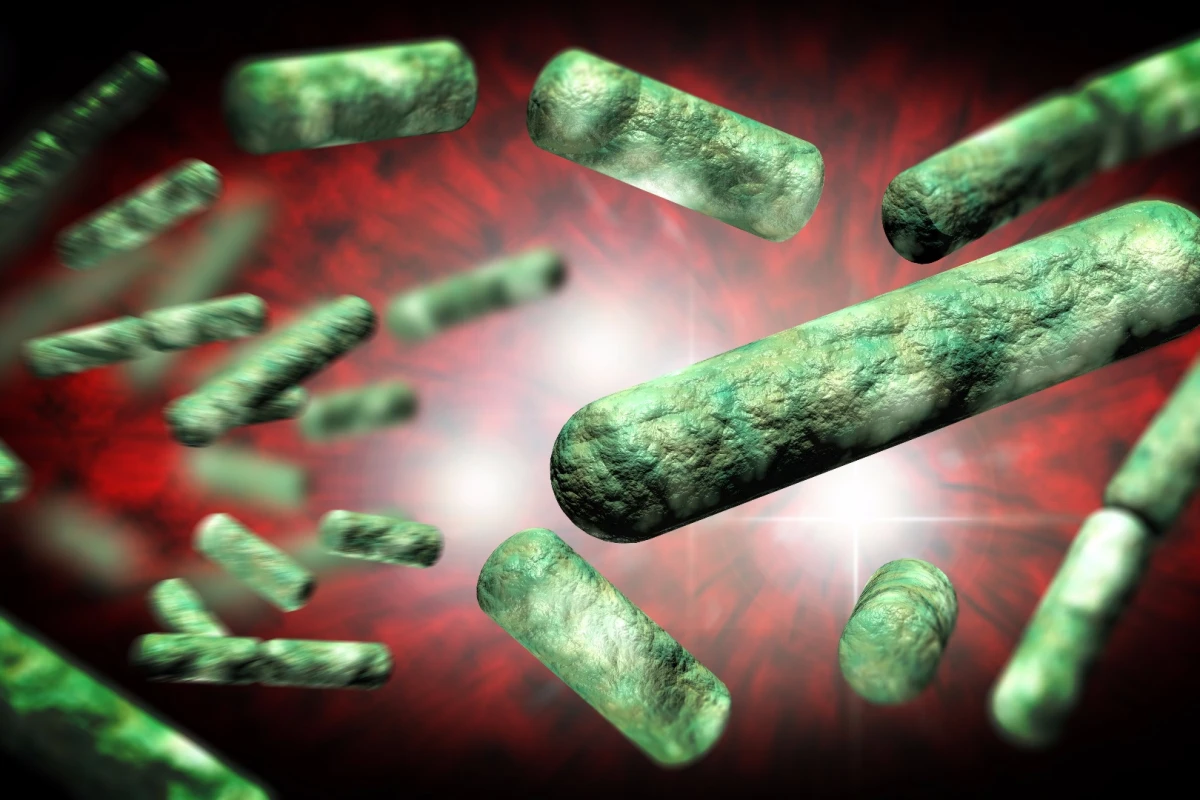 The experiment has observed more than 67,000 generations of bacteria, equivalent to one million years of human evolution
