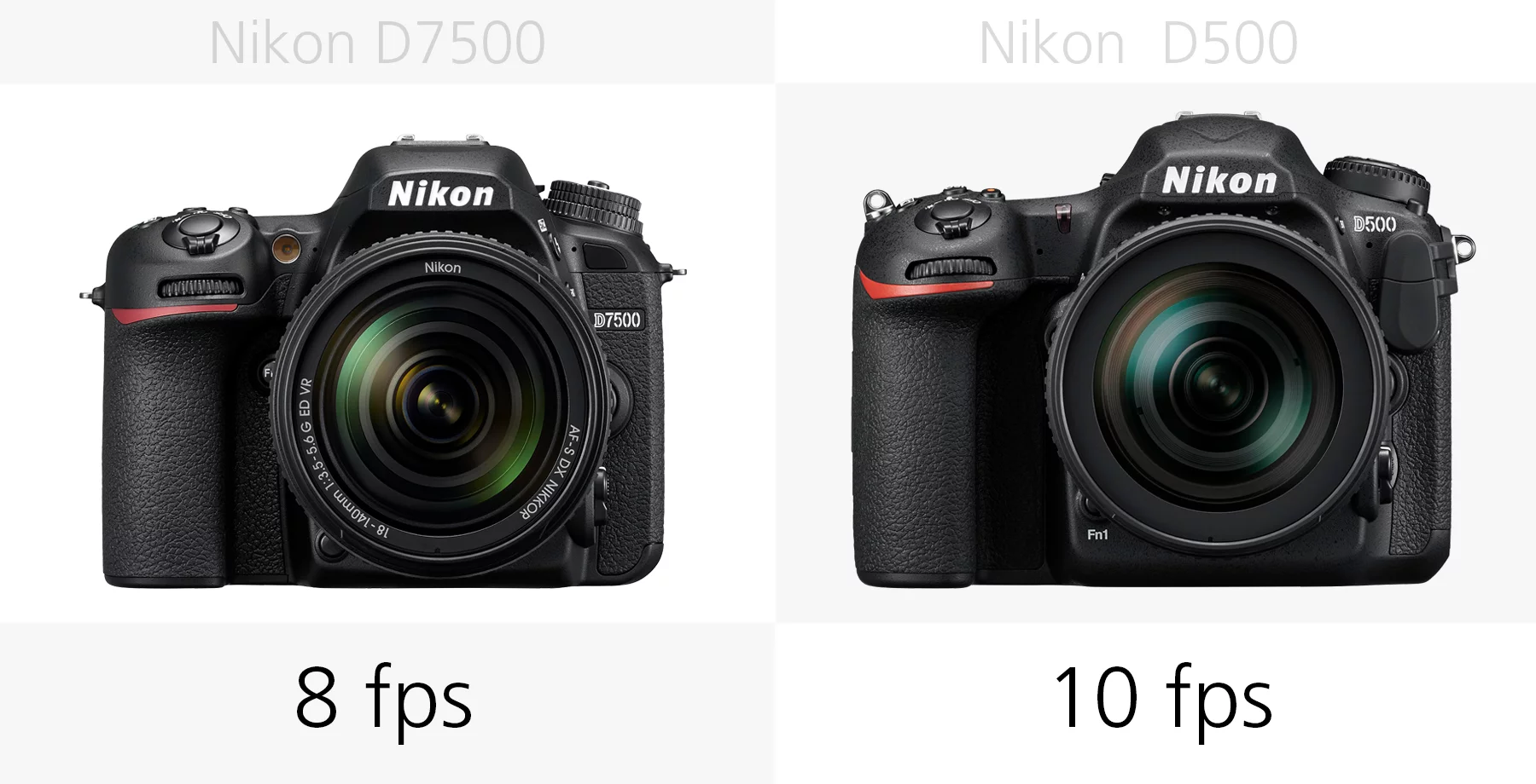The burst shooting speed of the Nikon D7500 and Nikon D500 compared