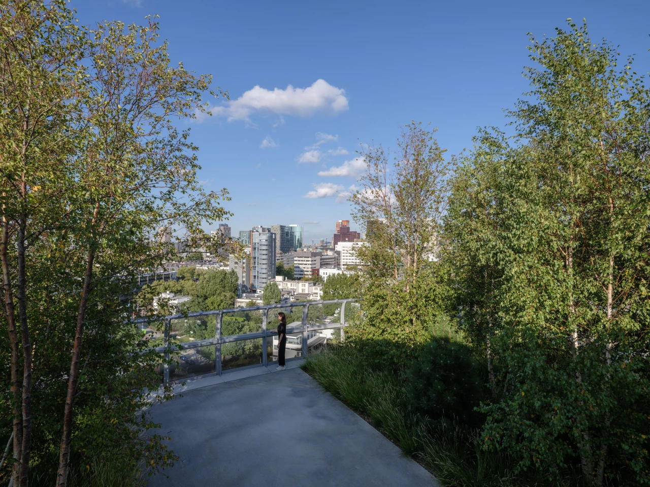 Depot Boijmans Van Beuningen's rooftop park includes 75 birch trees and 20 pines