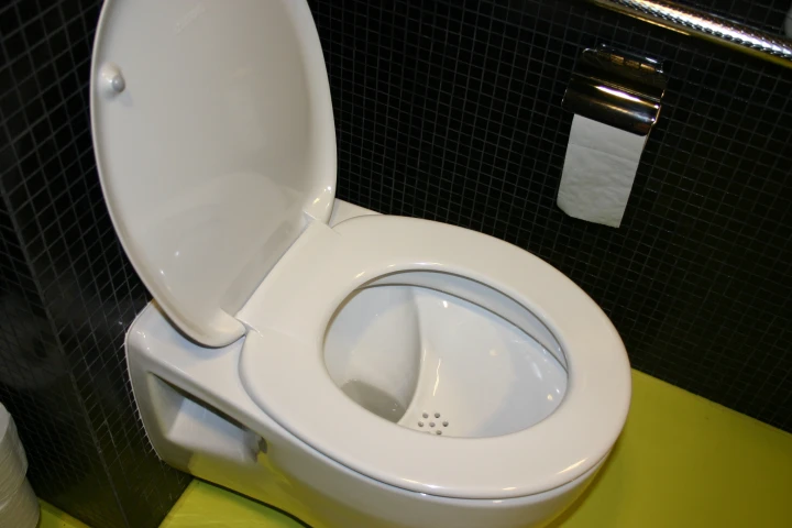 A NoMix toilet, which separates liquid and solid waste (Photo: Judit Lienert)