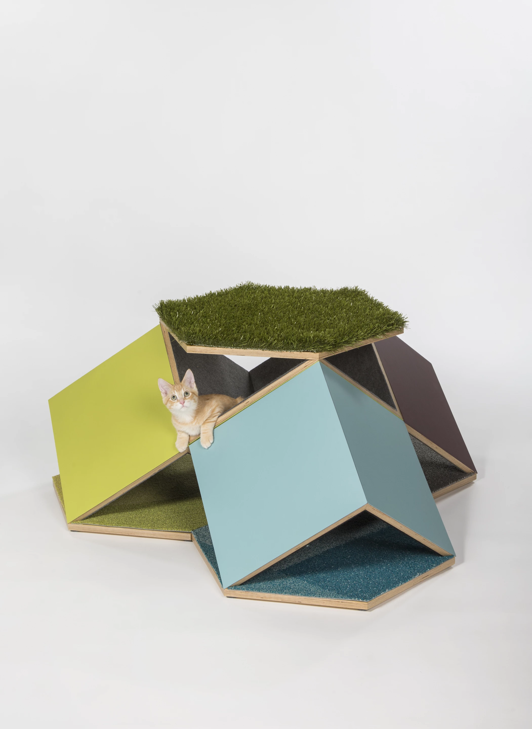 The CatCube: Meowdular Dwelling Unit, by Abramson Architects