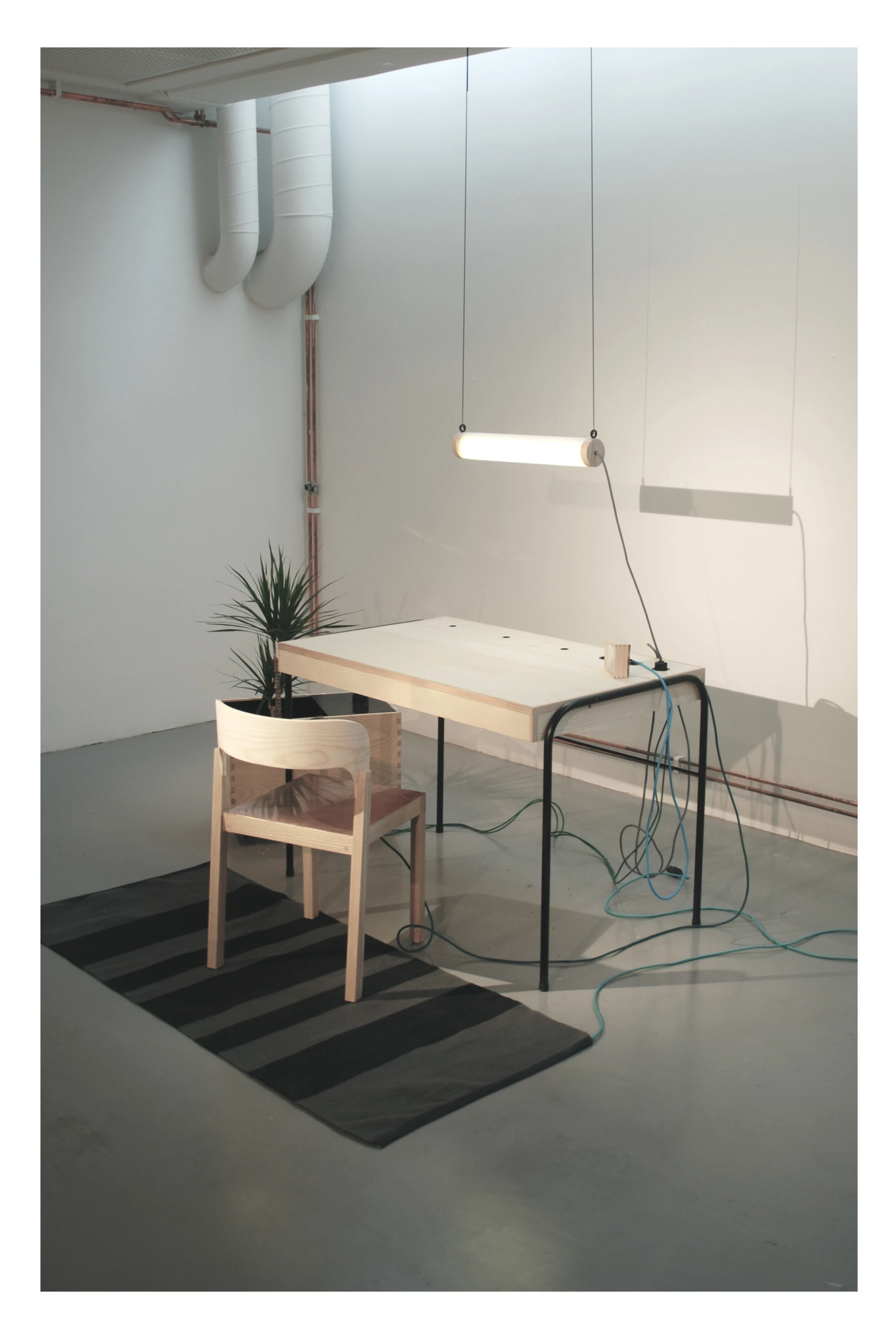 The plant in the corner is not just for aesthetics or clean air, but Törnberg taps into the plant’s microbial fuel cell