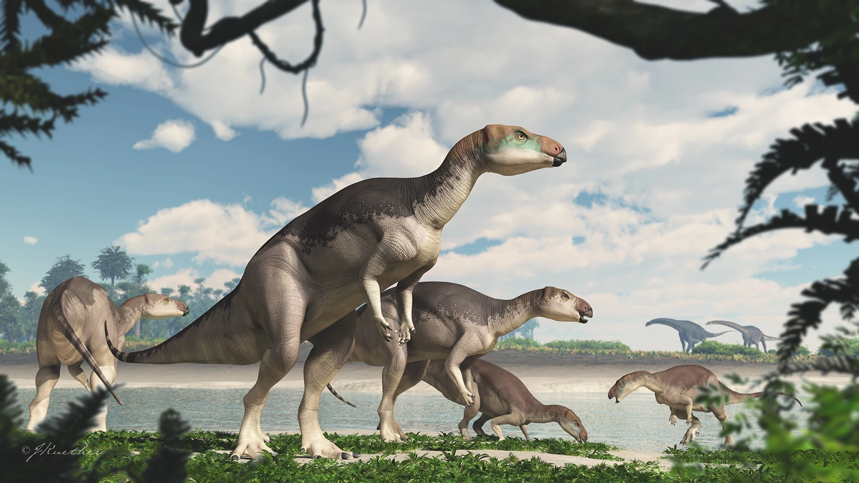 An artist's illustration of the new species, Fostoria dhimbangunmal