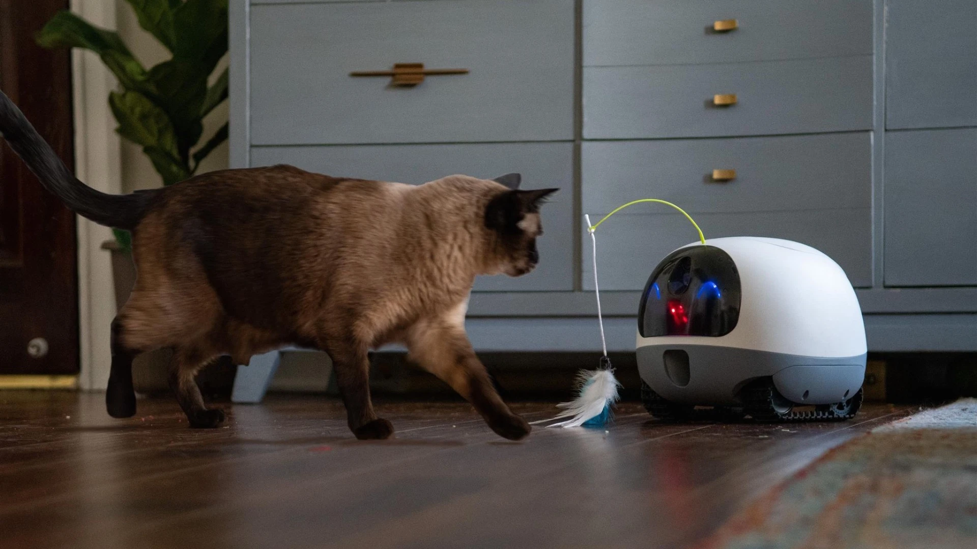 The VAVA Mobile Pet Cam's body is made of industrial-strength PVC, so it should withstand some abuse