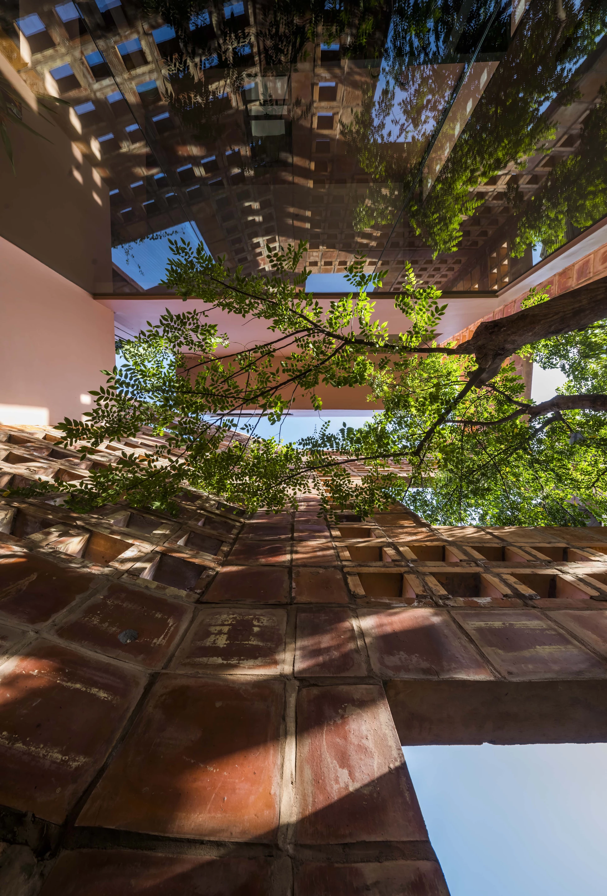 Bat Trang House features solar panels, which reduce its draw on the grid, and a rainwater collection system, which is used to irrigate the extensive greenery