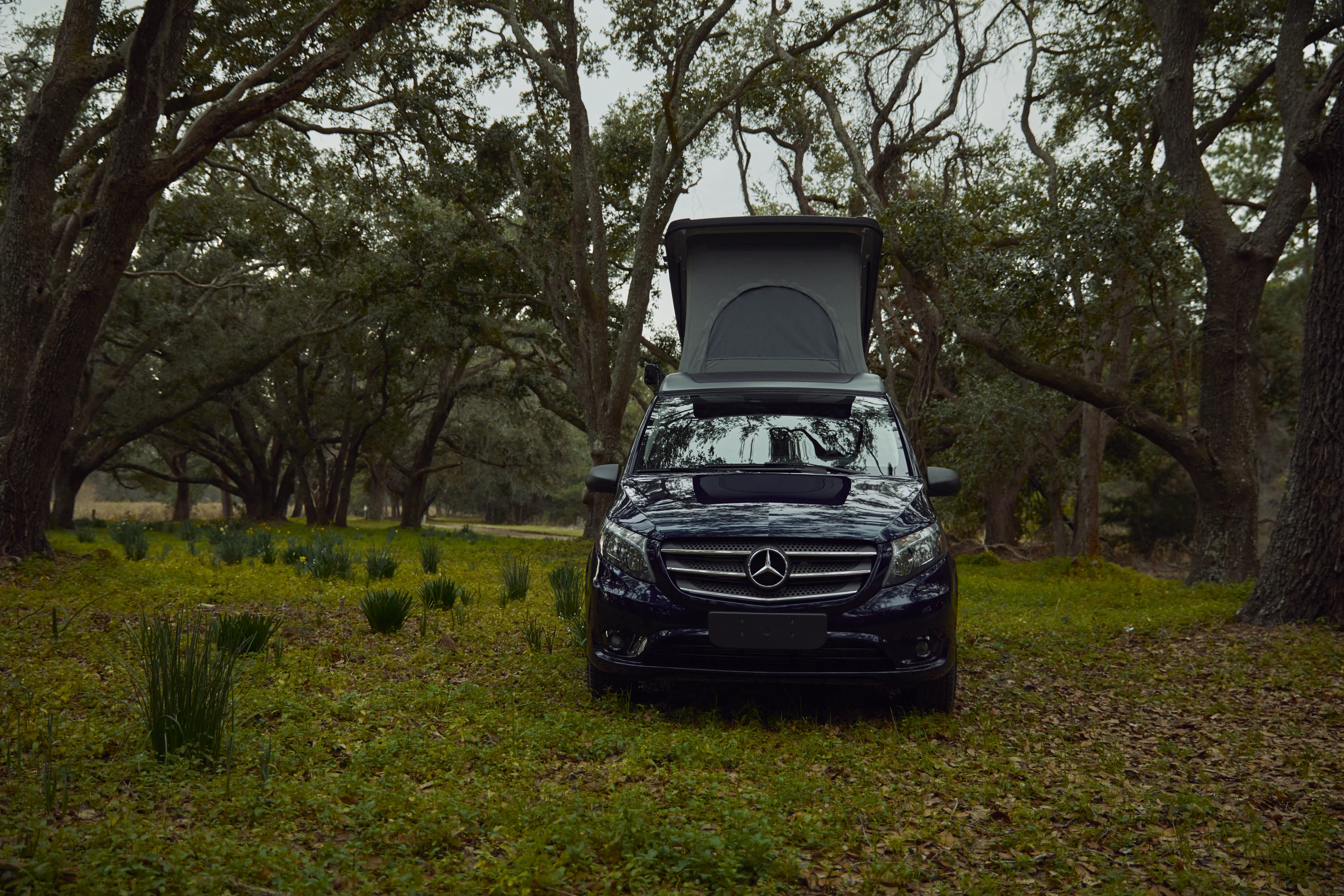 Looking in the eyes of the all-new Mercedes Metris Weekender