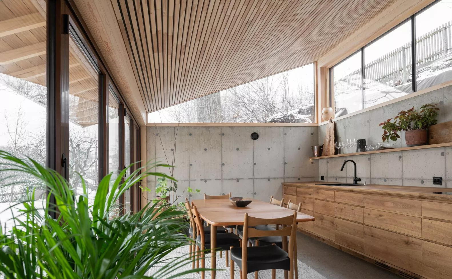 Where industrial meets organic: concrete walls anchor the kitchen, while timber adds warmth and texture