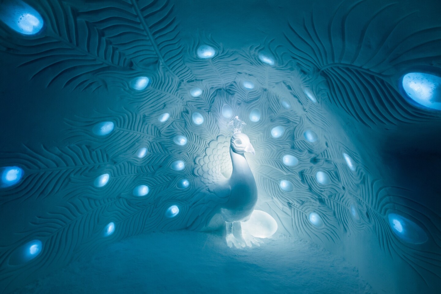 Show Me What You Got by Tjåsa Gusfors & David Andrén