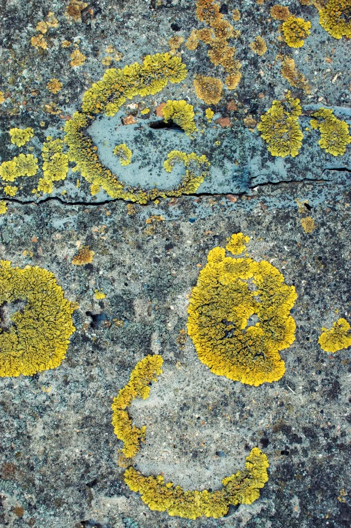 Still life of a Kentish Seawall stretching from Shellness through Minster to Sheerness on the Isle of Sheppey of the North East Kent Coast in the UK