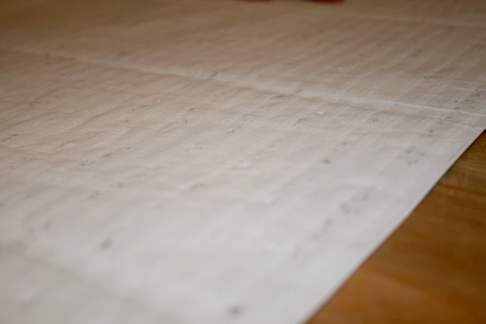 The seeds are embedded on the back of the wrapping paper, within layers of biodegradable tissue paper (Photo: Eden's Paper)