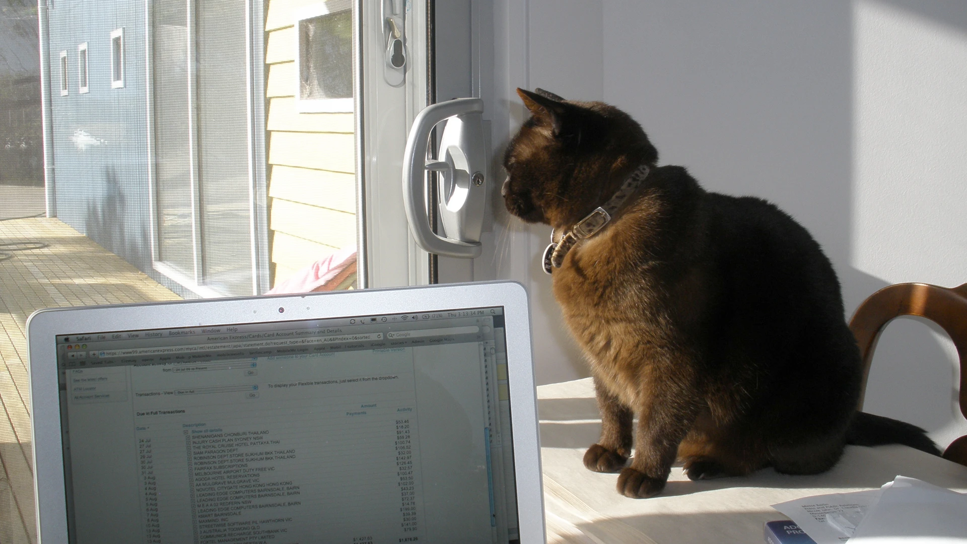 UK research has found that cats and dogs are owned by owners with similar characteristics but that cat owners are more educated